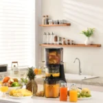 Canoly C09 Cold Press Juicer